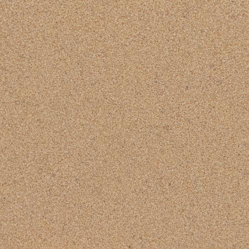 Q1220 BEIGE 40S