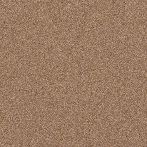 Q1250 TAUPE 40S